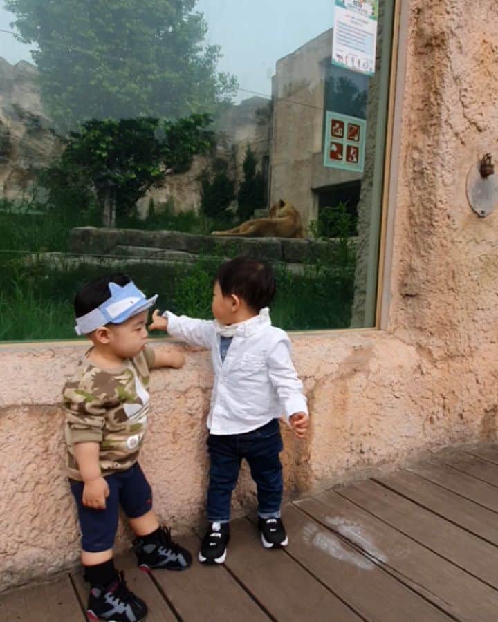 ミン・ヨンウォンのインスタグラム：「동네 쫌 노는 오빠들 👬✌ 사랑해🥰🥰🥰 . 동물보다 벽이랑 땅이랑 장난감을 더 마니보고 온 아기들..😘😘😘 #다계획이있구나 . 결국 풍선 자동차 사주고 집으로.... . . . . . . 조리원 동기 아기들 같이 커가는 엄마들❤ #우리화이팅 #줌마파워 #베이비조던 #베이비나이키 #nike #14갤아기 #사랑해 #돌아기  #아기모델 💌#밍크뮤 👍 #리틀그라운드 #블루독 🐶매니아  #육아일기 #신혼일기 #육아맘 #육아소통 #일상 #소통 #맞팔 #데일리 #황금돼지띠아들 #오오티디  #베이비스타그램 #daddy #play #baby #babyboy #love #family」