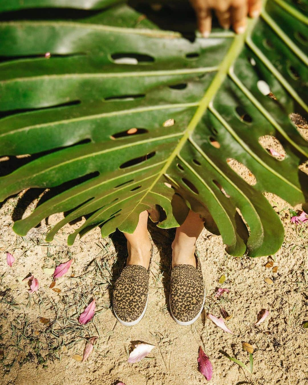 サヌークさんのインスタグラム写真 - (サヌークInstagram)「Whether you’re lounging around or out on the prowl, Pair O Dice will always stand out 🐆. #SanukPairODice #Sanuk #veganshoes #SmilePassItOn」5月25日 23時32分 - sanuk