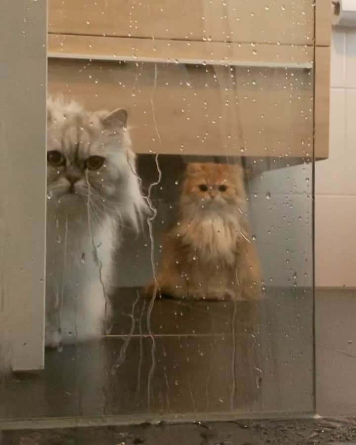 のインスタグラム：「Zero privacy.」