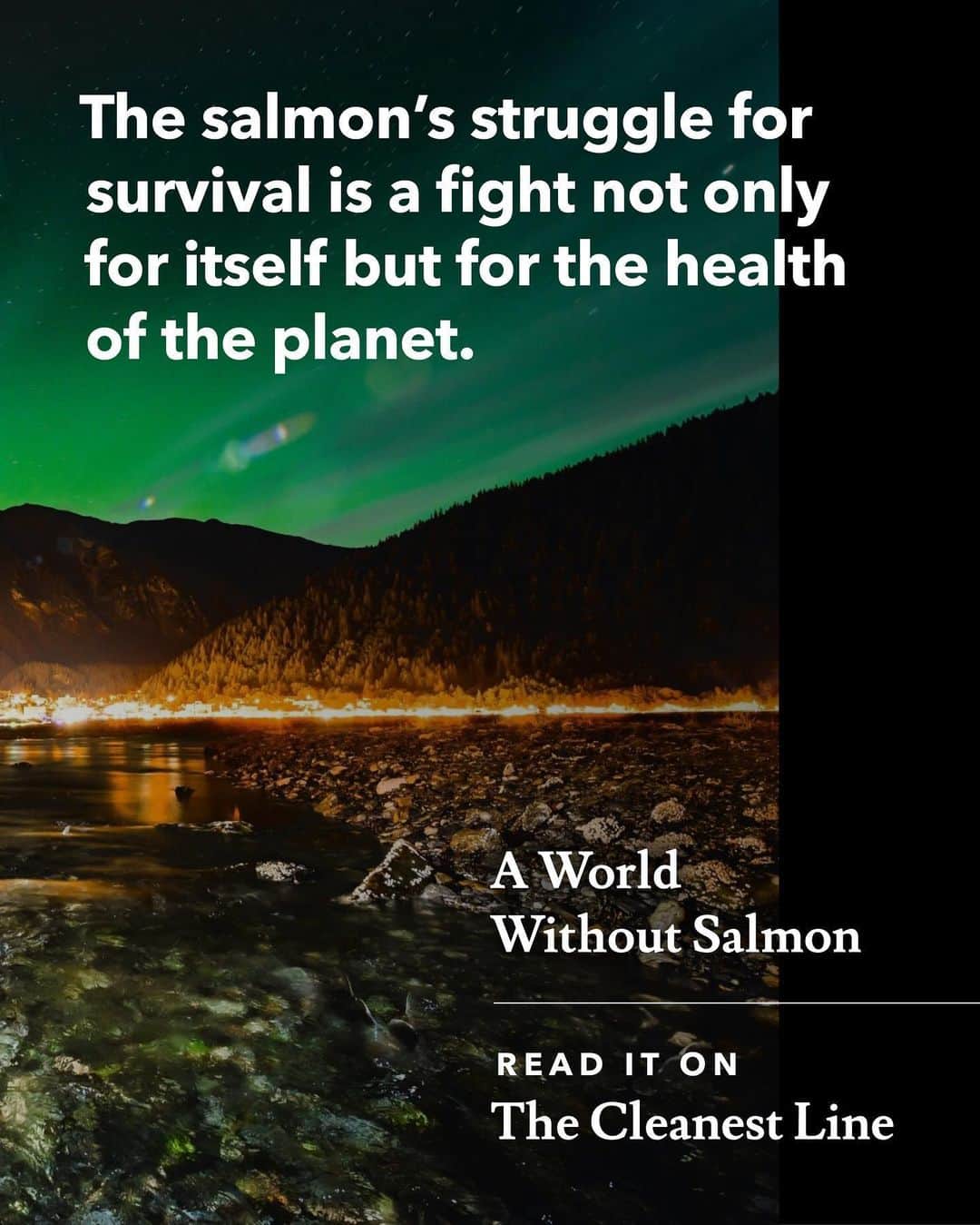 patagoniaさんのインスタグラム写真 - (patagoniaInstagram)「The salmon's struggle for survival is a fight not only for itself but for the health of the planet. ⁠⠀ ⁠⠀ Read an excerpt from Mark Kurlansky’s “Salmon: A Fish, the Earth, and the History of Their Common Fate” through the link in bio. ⁠⠀ ⁠⠀ Photo: Christopher Miller」5月26日 2時05分 - patagonia