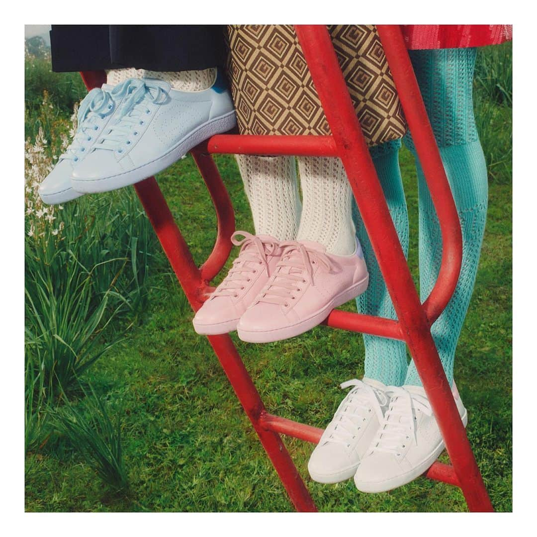 グッチさんのインスタグラム写真 - (グッチInstagram)「Crafted from soft leather in pastel colors, the #GucciAce sneaker is embellished with the Interlocking G motif. #TowardsTheSun #GucciPreFall20 @alessandro_michele #AlessandroMichele」5月26日 2時56分 - gucci