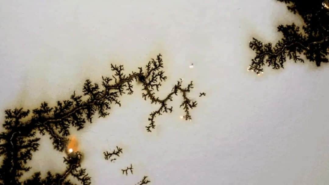 TED Talksのインスタグラム：「It's electric! ⚡ It's magnetic! 🧲And it's also a work of art! 🎨⁠ This image uses one of eight specially designed "drawing apparatuses," which harness natural or chemical reactions to create striking, totally unpredictable works. Here, artist Fabian Oefner spreads salt and water across a sheet of paper, drives two copper nails into opposite ends of the paper, then connects the nails to an electric circuit. As the current branches through the paper, it leaves a burning trail in its path. “You just create all the ingredients, and the forces define the look of it," says Oefner. "I think that’s very poetic, very beautiful.” See more of his science-experiments-turned-artworks — featuring magnets, ink, fire and more — at the link in our bio. ⁠ [Image: @fabianoefner]」