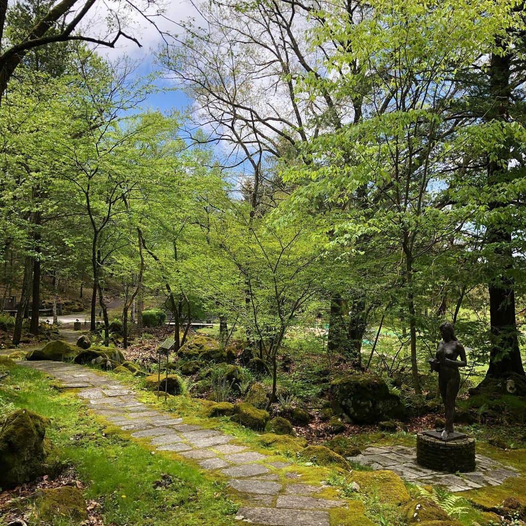リゾートホテル蓼科のインスタグラム：「彫刻公園は森ゾーンと芝生ゾーンがあります🌿 暑くなった日も森ゾーンの木陰はとても気持ちがいいです😊 これから遊歩道の石畳を苔が覆い始めるので、また雰囲気が変わります🎵 ぜひ、深呼吸してリフレッシュしてください😆」