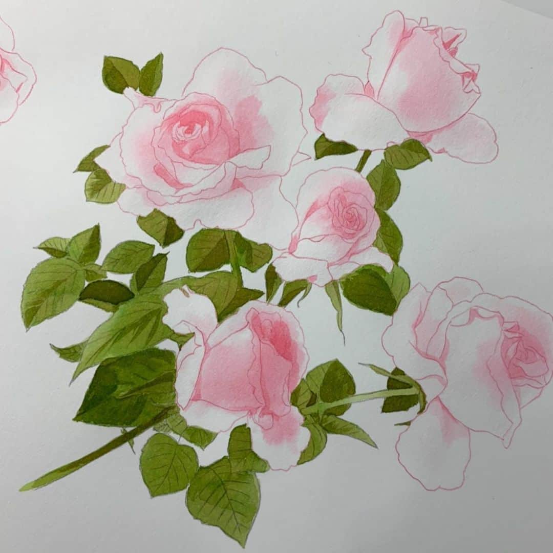 上田倫子さんのインスタグラム写真 - (上田倫子Instagram)「先日タイムアップした製作途中のバラの花。デザイナーさんがレイアウト用に使うため一旦入稿してもらい、今日返却してもらい色を塗り出して再び提出します。 バラの花の印影を少し足して、茎や葉っぱを塗り直しました。 あー、ギリギリはダメー！」5月26日 14時13分 - korinntonn