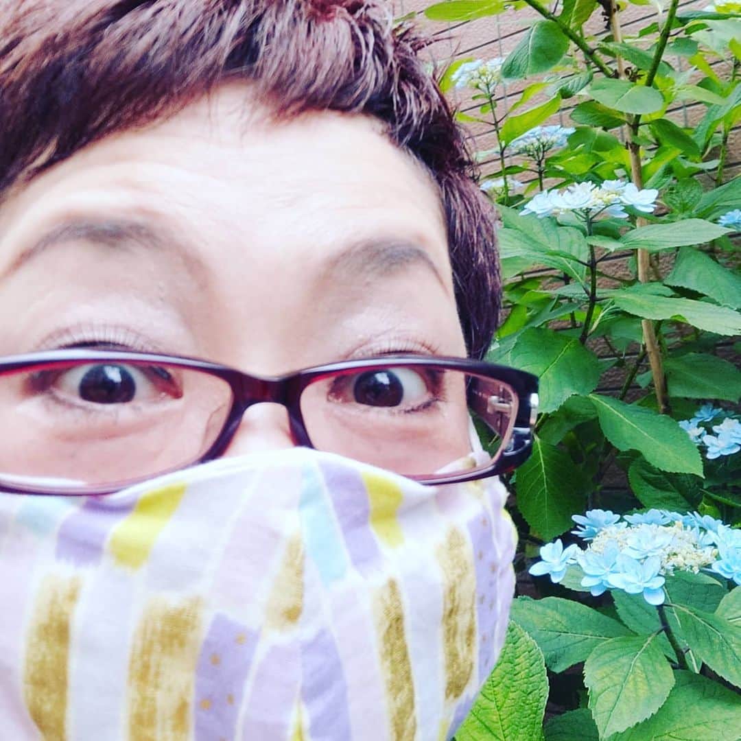 菊田あや子さんのインスタグラム写真 - (菊田あや子Instagram)「蒸し暑い、😷きつぃ～  紫陽花たくさん咲いてパチリ決まった👍️ 今日は巣鴨にて待ち合わせ📖早めに出て  紙の😷して出たら通気の悪さを実感したから 👜に入れてある 大阪のともちゃんからの手作りガーゼ😷に付け替え！  軽くて通気良し😃ともちゃんありがとうね～#prankish  梅雨☔️🐌になるし、ほぼ100%😷してるから  作るなら絶対に夏仕様‼️ですよね  げーっ😱😱😱😱😱😱😱😱なかなか相手が来ないなぁ、とスケジュール見たら  私が 日にち間違ってた😨😨😨😨 改札前に20分居て気づいた💦  私はおっちょこちょいなのか？やはり😭  #菊田あや子 #グルメリポーター #日にち間違ってた #巣鴨まできたのに #意外に近いけど #かなりなショック #渋谷に戻ろう #夜の打合せまで😢 #どうする？ #おっちょこちょいなのか？ #コロナ災禍である」5月26日 14時08分 - ako.ayakokikuta