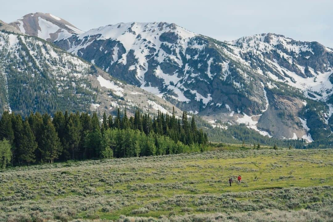 オボズさんのインスタグラム写真 - (オボズInstagram)「Happy Memorial Day! We're so very thankful for those who serve and those who continue to serve so that we may have the freedoms we do, including the ability to recreate on our public lands. Here's to getting outside! ⠀ .⠀ .⠀ .⠀ .⠀ #truetothetrail #memorialday #publiclands #thislandisyourland #thislandisourland」5月26日 7時04分 - obozfootwear