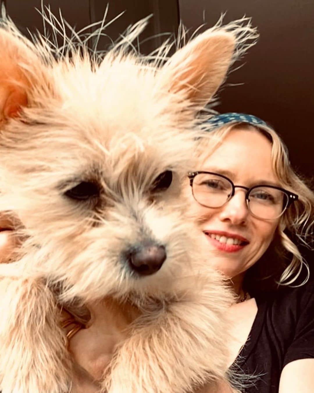 ベン・ワッツさんのインスタグラム写真 - (ベン・ワッツInstagram)「New family member alert 🚨 meet Izzy @naomiwatts new rescue pup ...... here’s some FaceTime snaps from our quick lil virtual introduction.  #naomiwatts #izzy #pup #facetimephotoshoot #virtualphotography #benwatts #family」5月26日 7時16分 - wattsupphoto