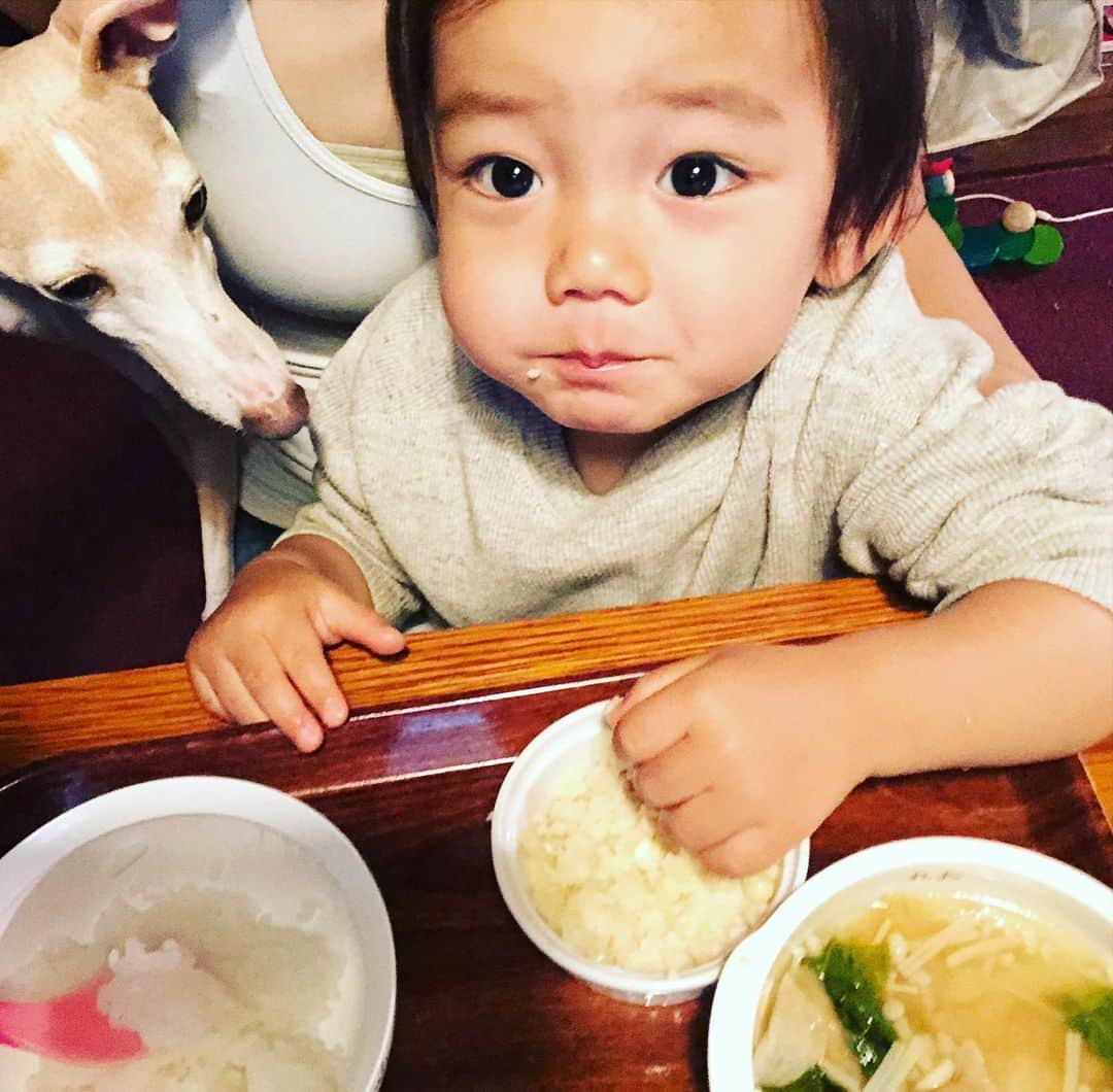 菅井悦子さんのインスタグラム写真 - (菅井悦子Instagram)「我が家のご飯息子バージョン（笑） 犬と子供でてんやわんや。 本人は食べた気がするんだろうか？🤣 定番メニューは ごはん、みそしる、おかず（何か）、納豆、です🤣 最近、干物がお気に入り☝️ #一歳八ヶ月」5月26日 7時23分 - etsuko313