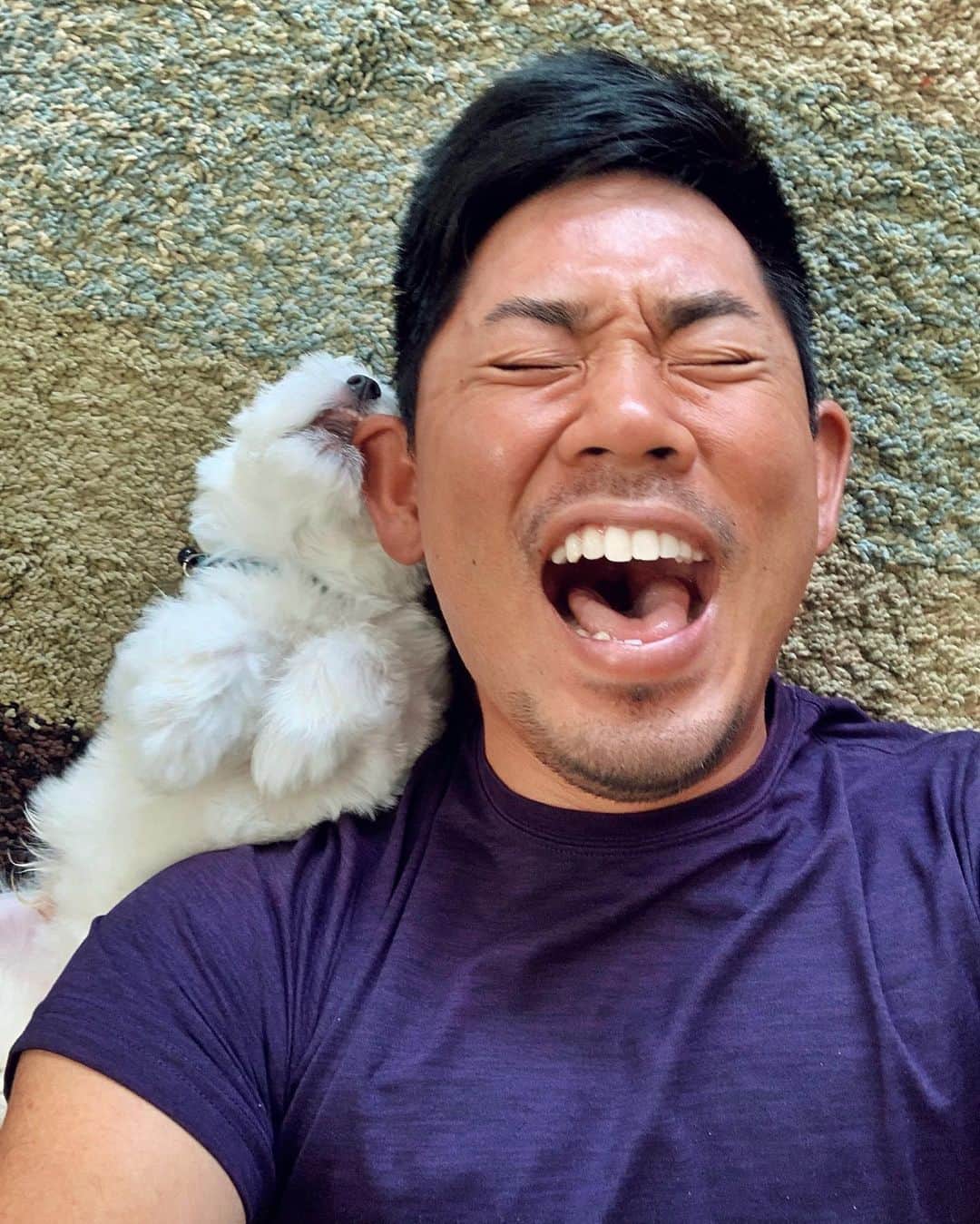 タッド・フジカワさんのインスタグラム写真 - (タッド・フジカワInstagram)「2020 EXPECTATION VS. REALITY.🤣😂 *swipe left*  I miss my pup!😫😭😭♥️ • • #selfie #dog #puppy #cute #smile #professional #golfer #golf #athlete #asian #life #love #home #hawaii #oahu #travel #adventure #pride #visibility #inspiration #gay #instagay #gayguy #gayboy #inclusion #lgbtq #advocate #activist #instagram #influencer」5月26日 8時20分 - taddy808