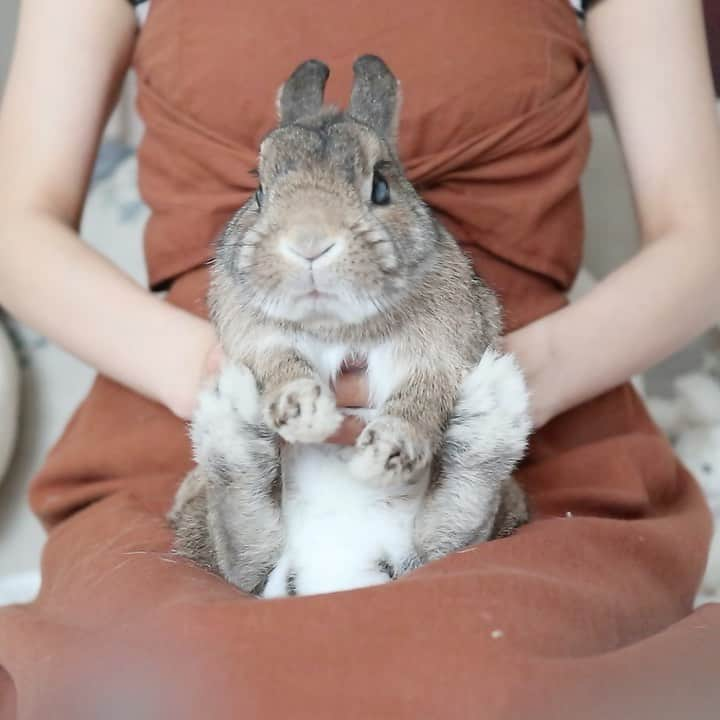 うー & なー ❤️ウチムラのインスタグラム