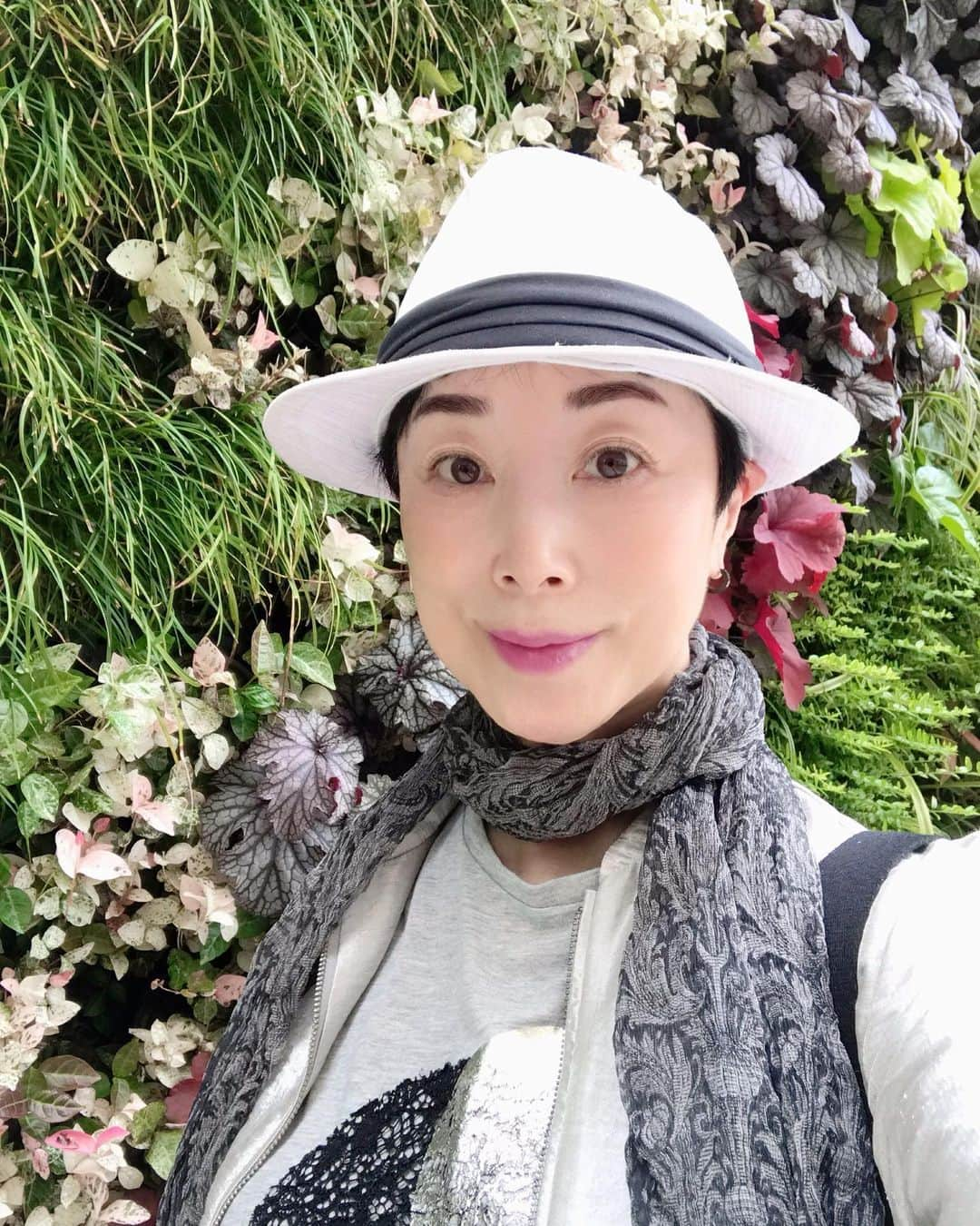 小川知子のインスタグラム