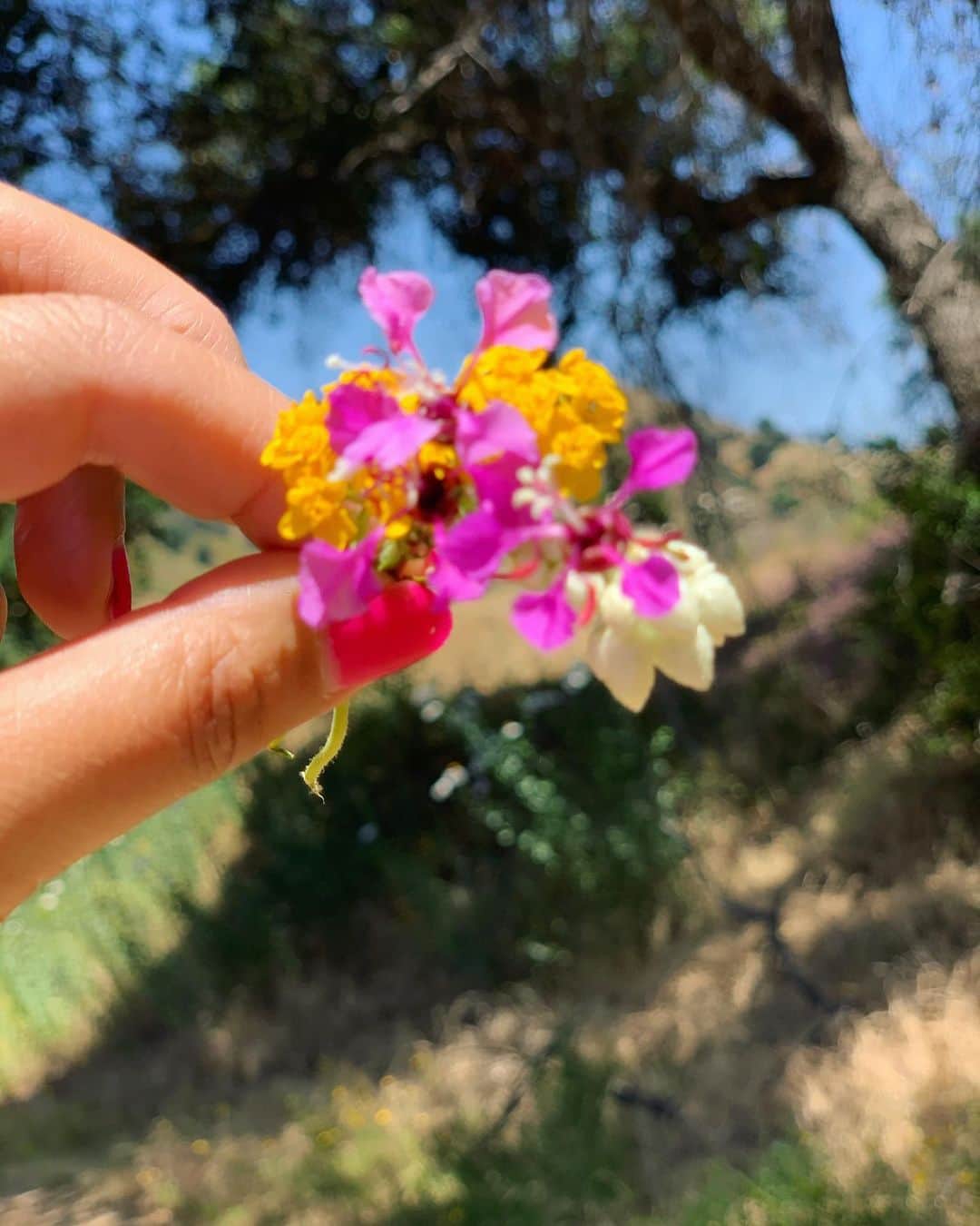 MINMIさんのインスタグラム写真 - (MINMIInstagram)「小さな花束💐 いつまでママに花を摘んでくれるかな？ ありがとう。とっても嬉しい @airatokyo」5月26日 10時03分 - minmidesu