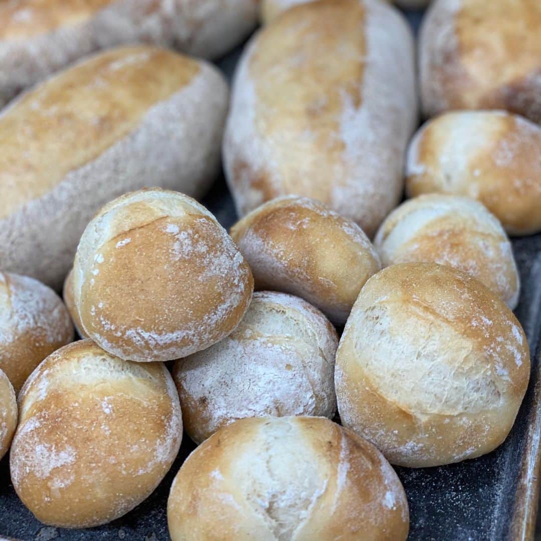 魔女菅原のグルメインスタ