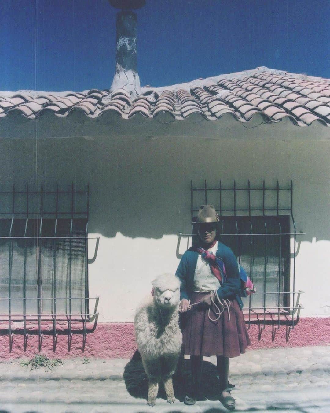 尚玄のインスタグラム：「#Peru 2012  保管には困るけどやっぱりフィルムの質感がいい。 #Traveling #WorldHeritage #Alpaca #アルパカ」