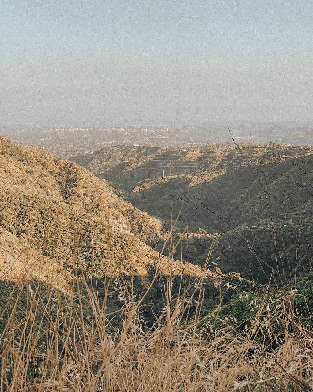 W E Y L I Eのインスタグラム：「I’ve been giving myself a little digital detox. Spending more time reading, gardening, taking walks, and driving through the mountains. I feel inspired to create more content around these things that inspire me. I’ve been wondering what life will be like after the lockdown. Will I immediately go back to my old busy life of running around everyday? I hope I learn to find the balance. 🌾 What are some things you hope to continue or start fresh when things slowly return to some sort of normalcy? I’m really curious to know what you guys have learned or are looking forward to!」