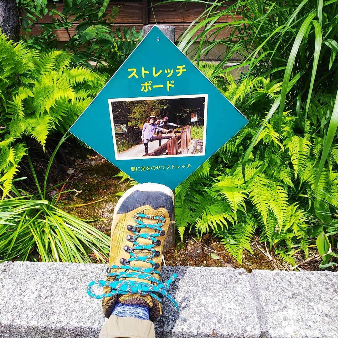 みながわゆみさんのインスタグラム写真 - (みながわゆみInstagram)「#おつかれさま #山登り #登山靴 #感謝 #ありがとう #山好きな人と繋がりたい」5月26日 10時47分 - nama.09.19
