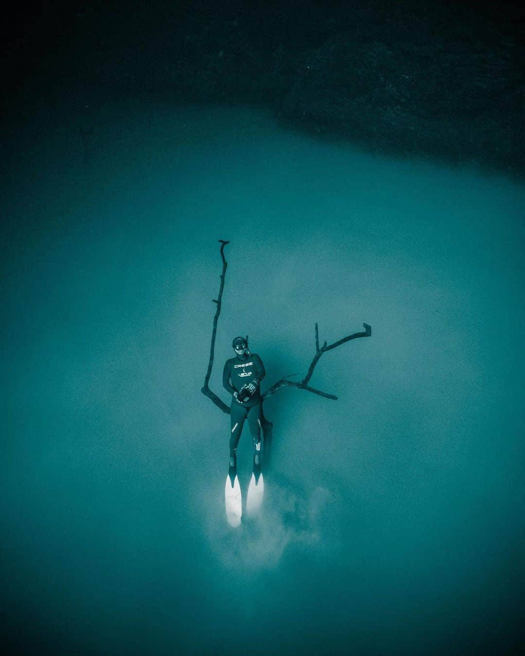 篠宮龍三のインスタグラム：「Rest on the cloud  #sony #sonycamera #sonyalpha #a7riii #sel1224g #Nauticam #Nauticamhousings #breathless #legendaryfuture #superocean #superoceanheritage #breitling  #freediving #freediver #underwater #underwaterphotography #underwaterphotographer #wild #cenote #mexico」