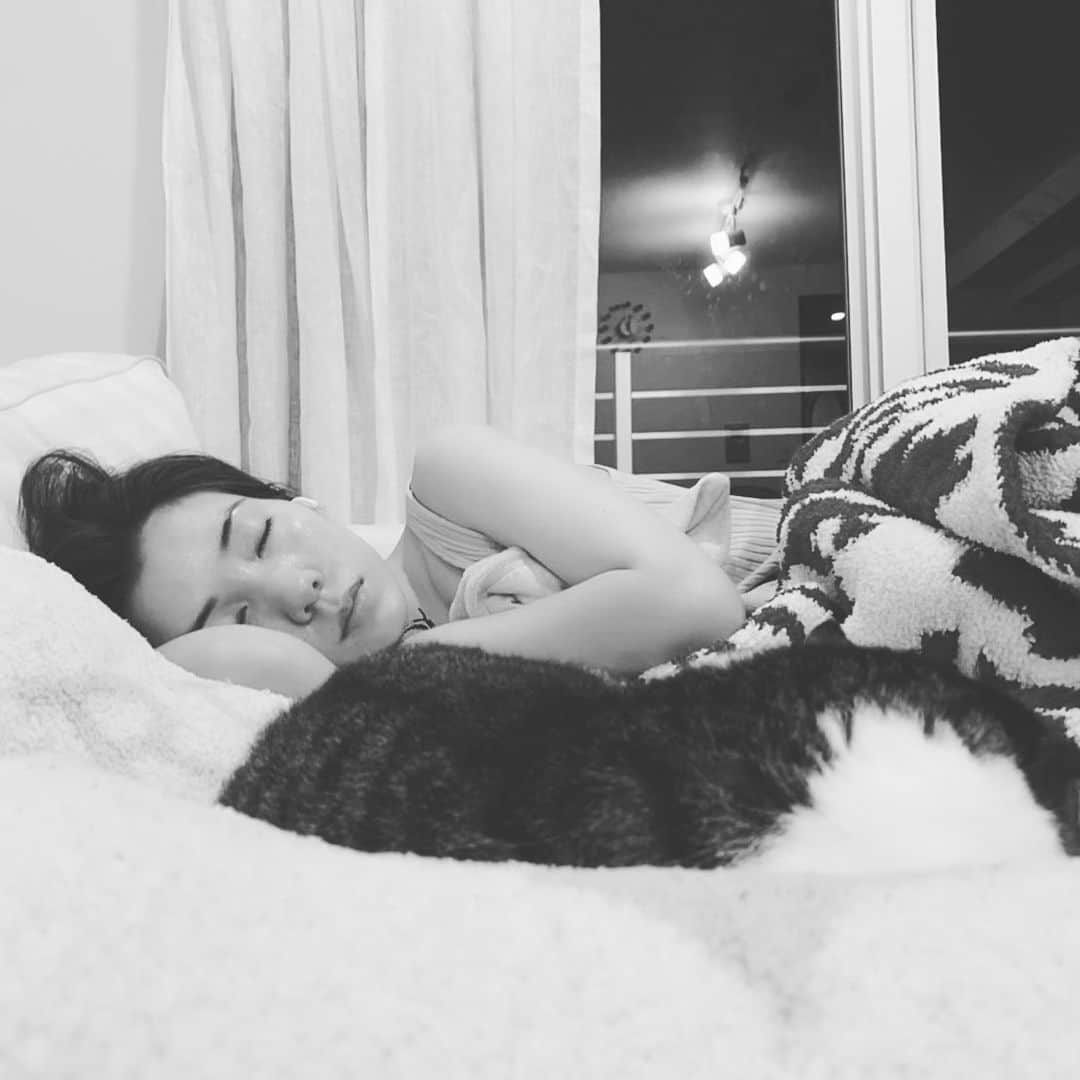 仲里依紗のインスタグラム：「YouTubeチェック中に また寝落ち😴 . 手前のモフモフおまんじゅうは おかかだよ🐈 . #キツネcamera キツネさんは隣で毎日 よくわからないオンラインゲームしてる😂」