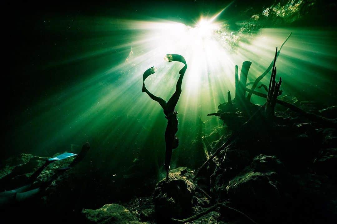 篠宮龍三のインスタグラム：「light and shadow  #sony #sonycamera #sonyalpha #a7riii #sel1224g #Nauticam #Nauticamhousings #breathless #legendaryfuture #superocean #superoceanheritage #breitling  #freediving #freediver #underwater #underwaterphotography #underwaterphotographer #wild #cenote #mexico」
