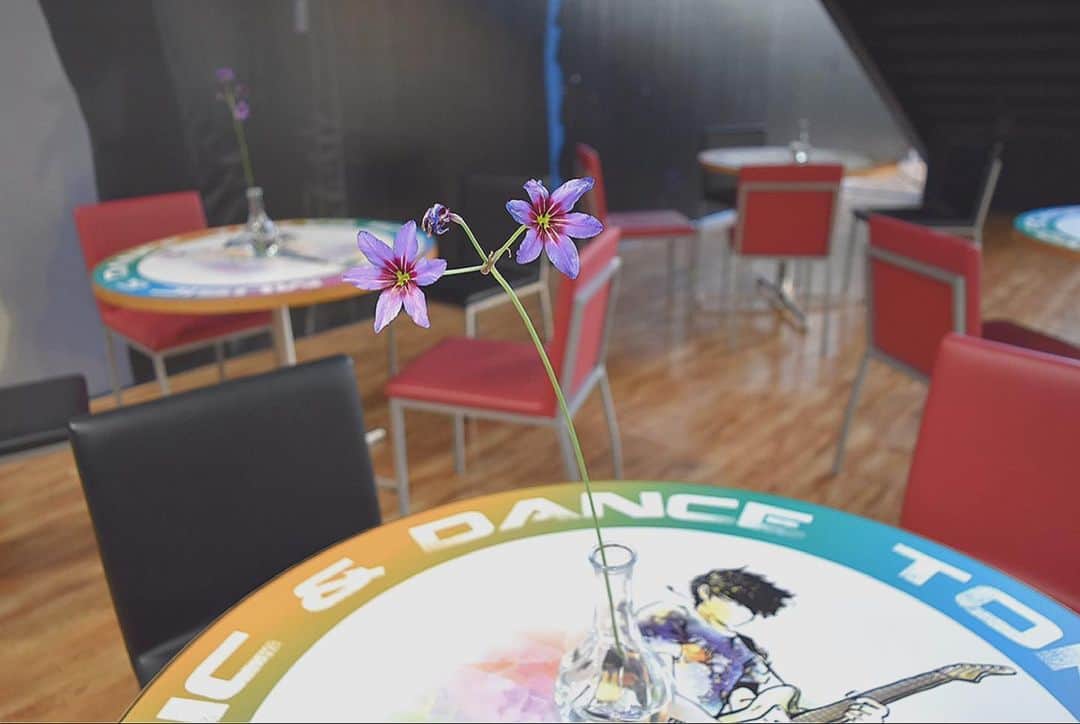 Tokyo School of Music&danceさんのインスタグラム写真 - (Tokyo School of Music&danceInstagram)「\\\インスタde校舎見学！/// (昨日更新忘れたので午前中投稿でごまかします😢) 1階【カフェスペース】は 募金箱に募金をしていただくと 飲み物が飲めるようになっています☕️🥤 机にはお花が飾られているのですが このお花は実は毎週変わっています😳 季節のお花を愛でながら、 飲み物を飲んでくださいね🙆🏻‍♀️ * * #20200526 #TSM #tsm西葛西 #tsm西葛西校 #東京スクールオブミュージックandダンス専門学校 #音楽 #専門学校 #俳優 #ダンス #music #dance #dancer #actor #actress #飲み物 #お花 #flower #🎵 #🎶 #🌹 #🌸 #☕️ #コーヒー」5月26日 11時56分 - tsm_musicdance