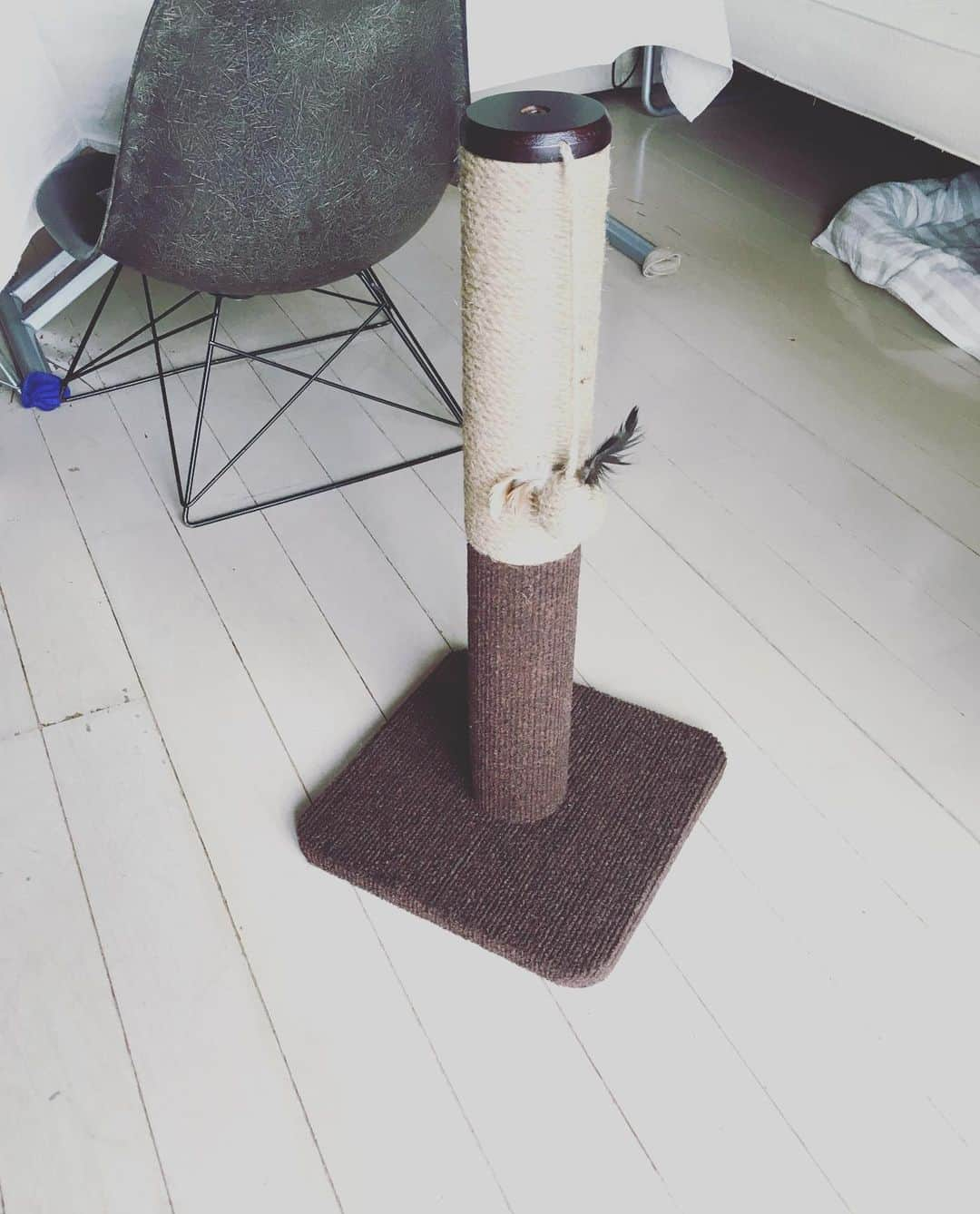 猫沢エミさんのインスタグラム写真 - (猫沢エミInstagram)「前からあった爪研ぎが、ふたつほどボロボロになったので、タテ研ぎの好きな坊のために、ポール型を導入してみた。  さて…研いでくれるかな？  現時点では、みなさん遠巻きにごらんになるだけで、無反応。  #猫沢組　#買ってみたけど遊んでくれない使ってくれないよくある猫デフォルト　#ジュード麻の玉コロおもちゃ付き　#親の心子知らず」5月26日 12時07分 - necozawaemi