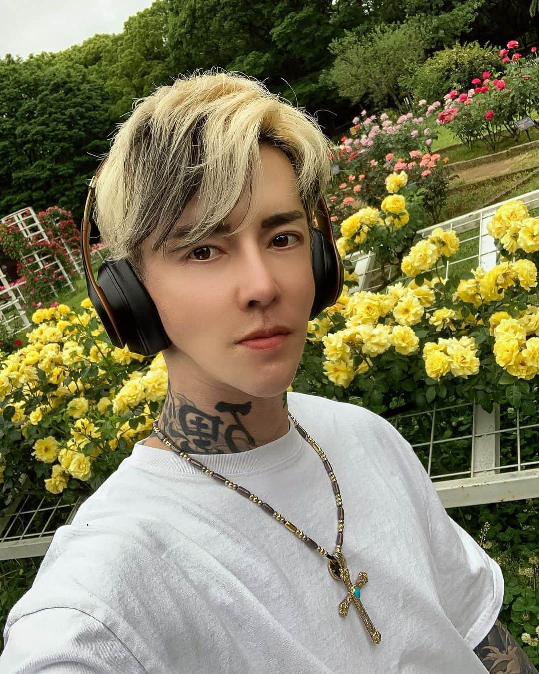 blackfox_toprebelのインスタグラム：「. 代々木公園に散歩に行きました 🏃🏼‍♂️ 花畑を見て少し癒されました 😌 でも、、、花畑を見るとどうしても「あつ森」が頭がよぎります 😹 . I went for a walk in the park!! The flowers were beautiful and healed!🌻」