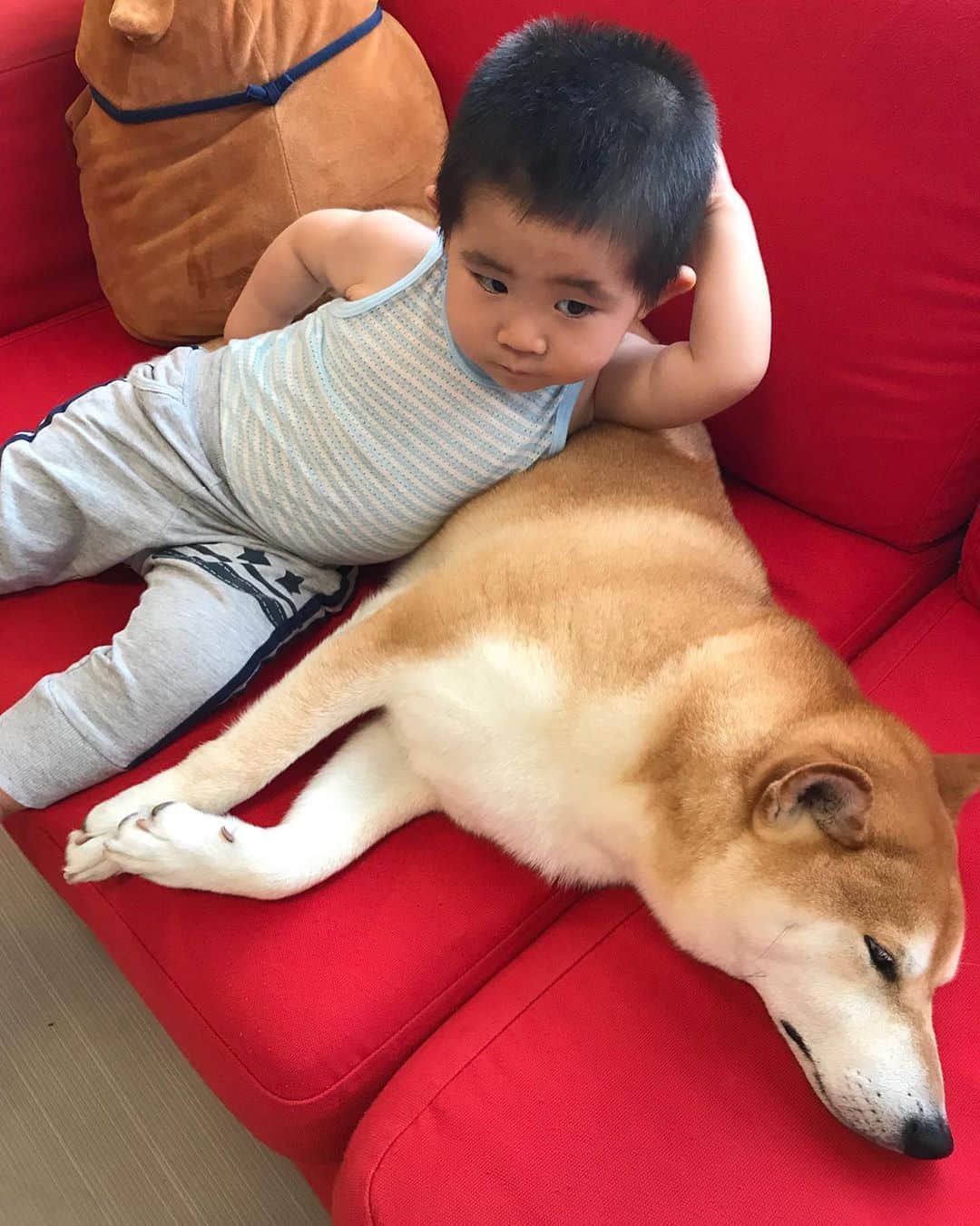 高橋みゆきのインスタグラム：「本当クラ吉大好きだなぁ💕👦 #クラ吉お兄 #眠い #このまま寝るか🐶👦」