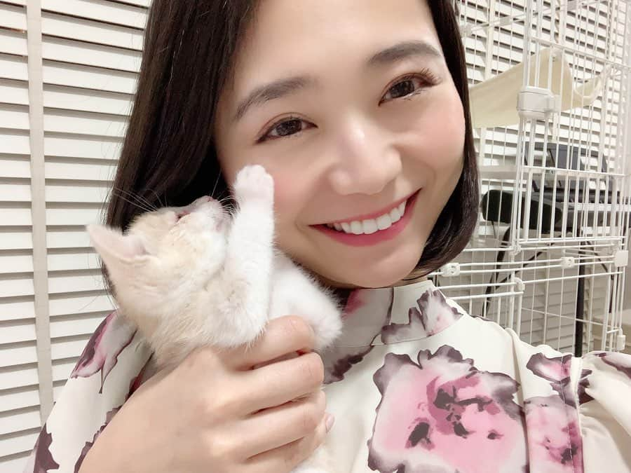 緑川静香さんのインスタグラム写真 - (緑川静香Instagram)「我が家に家族が増えました🥰﻿ ﻿ 元保護猫のチャイ♀です🐈﻿ ﻿ 地元の保護猫団体様から里親にならせていただきました🙇‍♀️﻿ もうすぐ2ヶ月、ホントちいちゃい😭❤️﻿ 家に来て1週間程ですが少しずつ大きくなってるのを既に感じております。﻿ ﻿ 保護猫は歴代3匹目✨﻿ チャイ、幸せにするよ🥰﻿ ﻿ #cat #kitty #catstagram  #子猫 #保護猫 #猫のいる暮らし  #ペットを飼うと結婚できなくなるっていう話の意味がすごく分かったw﻿ #この子の為に頑張ろうと思うもんね﻿ #毎日癒されております﻿ #はぁ可愛い﻿ #チャイティーの色だからチャイ #まだワクチン打てない月齢なので風邪引きやすく﻿ #現在猫風邪の為お目目の目やにがすごくエリザベスカラーなう﻿ #早くお顔見せたいね #早く良くなるのだよ✨」5月26日 12時26分 - midorikawa_shizuka