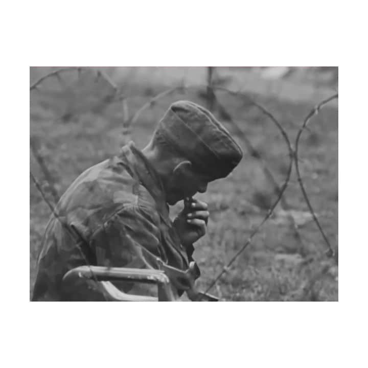 ジェシー・カーマイケルのインスタグラム：「Happy Memorial Day to Everyone all around the World. Always Praying for Peace on Earth. Made this music today to go with footage of WWII from the @usnatarchives xoxoxo」