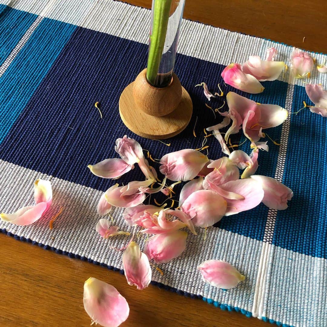やついいちろうさんのインスタグラム写真 - (やついいちろうInstagram)「朝起きたら全部散っていた。面白いなー芍薬。花びらを水に浮かべておいた。#一輪挿し」5月26日 12時59分 - yatsuiichiro