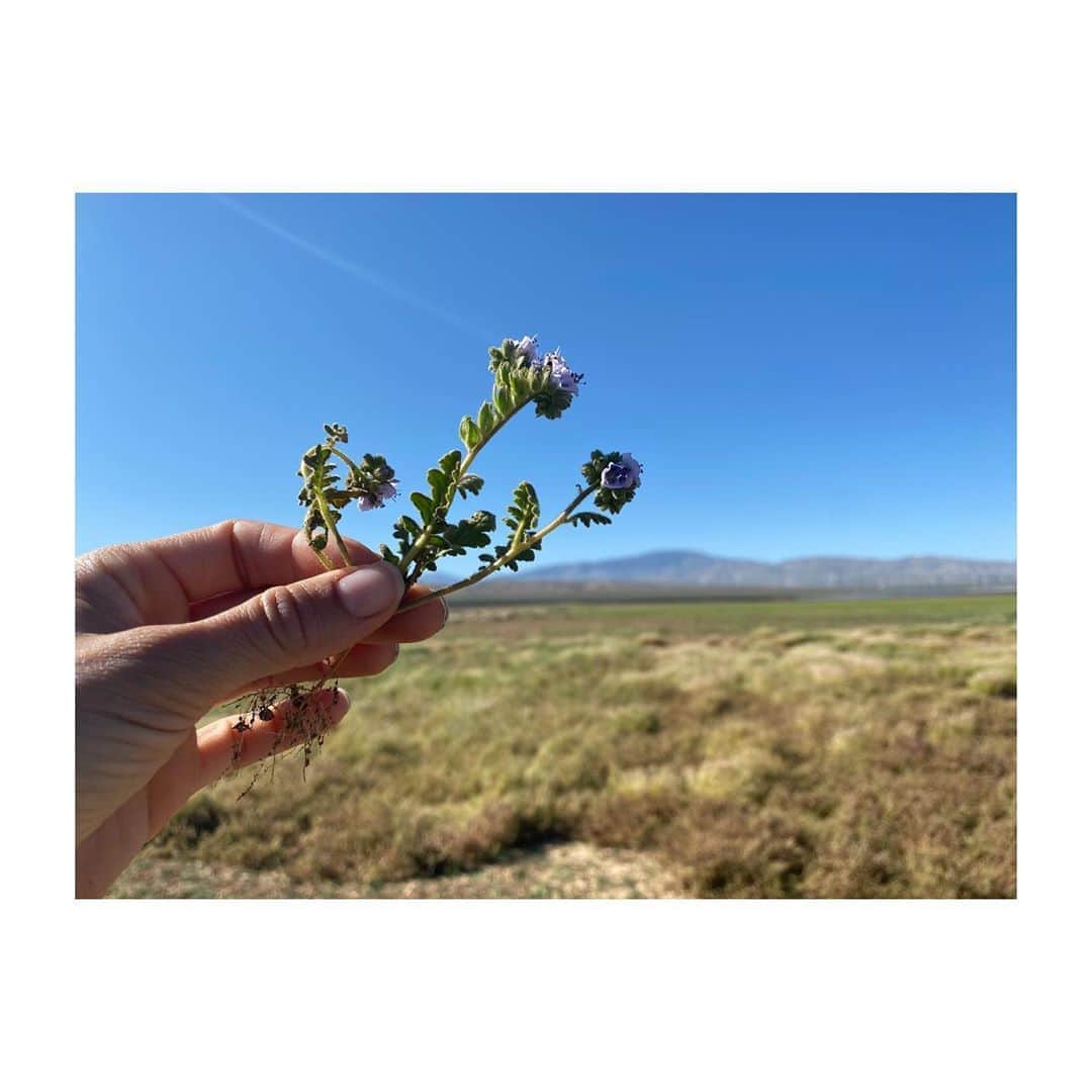 トーレイ・デヴィートのインスタグラム：「Nothing makes me happier than connecting with nature and getting quiet. What about you guys?  What have you all been doing to keep yourselves feeling centered and peaceful during this time? #sendinglove 💜」