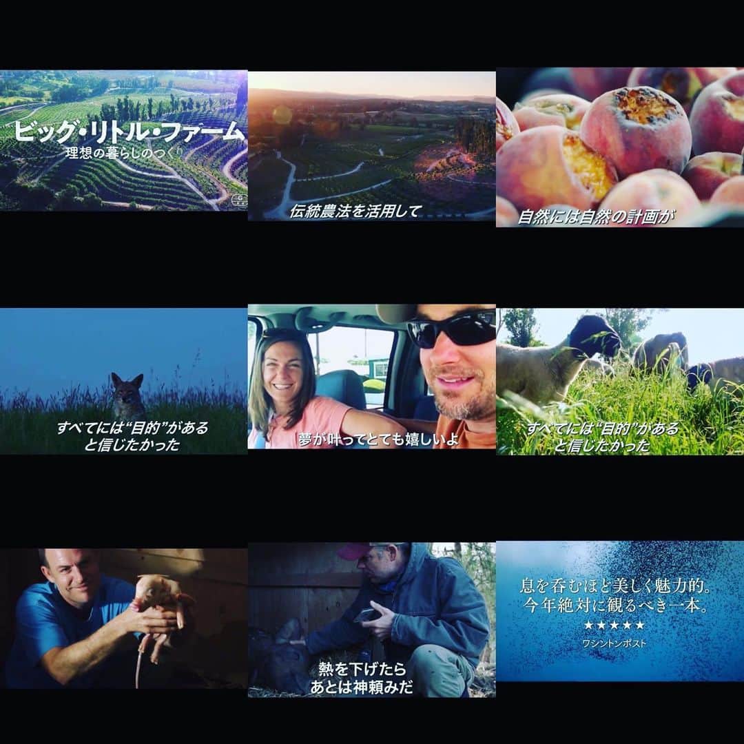 松浦美穂さんのインスタグラム写真 - (松浦美穂Instagram)「これは良い映画だったなぁ… 「the  biggest little farm」 保護犬を引き取った夫婦が、都会から田舎に引っ越して「奇跡の農場」を8年間かけて作って行ったドキュメンタリー映画…  3月中旬に観に行った時には既に映画館は私達夫婦のみの観客💦  #映画館 #ビッグリトルファーム #奇跡の農場」5月26日 23時17分 - twiggy_mihomatsuura