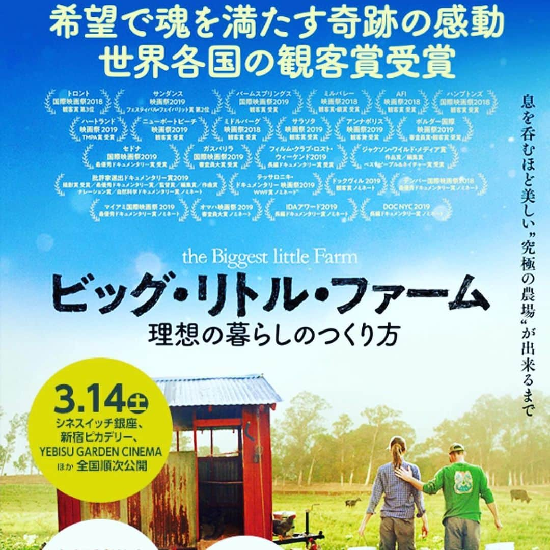 松浦美穂さんのインスタグラム写真 - (松浦美穂Instagram)「これは良い映画だったなぁ… 「the  biggest little farm」 保護犬を引き取った夫婦が、都会から田舎に引っ越して「奇跡の農場」を8年間かけて作って行ったドキュメンタリー映画…  3月中旬に観に行った時には既に映画館は私達夫婦のみの観客💦  #映画館 #ビッグリトルファーム #奇跡の農場」5月26日 23時17分 - twiggy_mihomatsuura