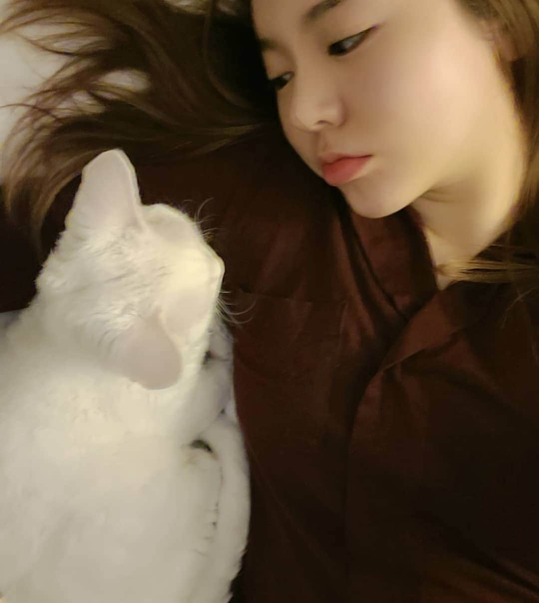 サニー のインスタグラム：「가끔 너무 튕겨서 얄밉다가도... 잘때되면 팔베개  해달라고 찡찡거리는 너를 어쩌면 좋니?! 사랑해 딸랑구~♡ #밀당의귀재 #헤어나올수없는 #소금」