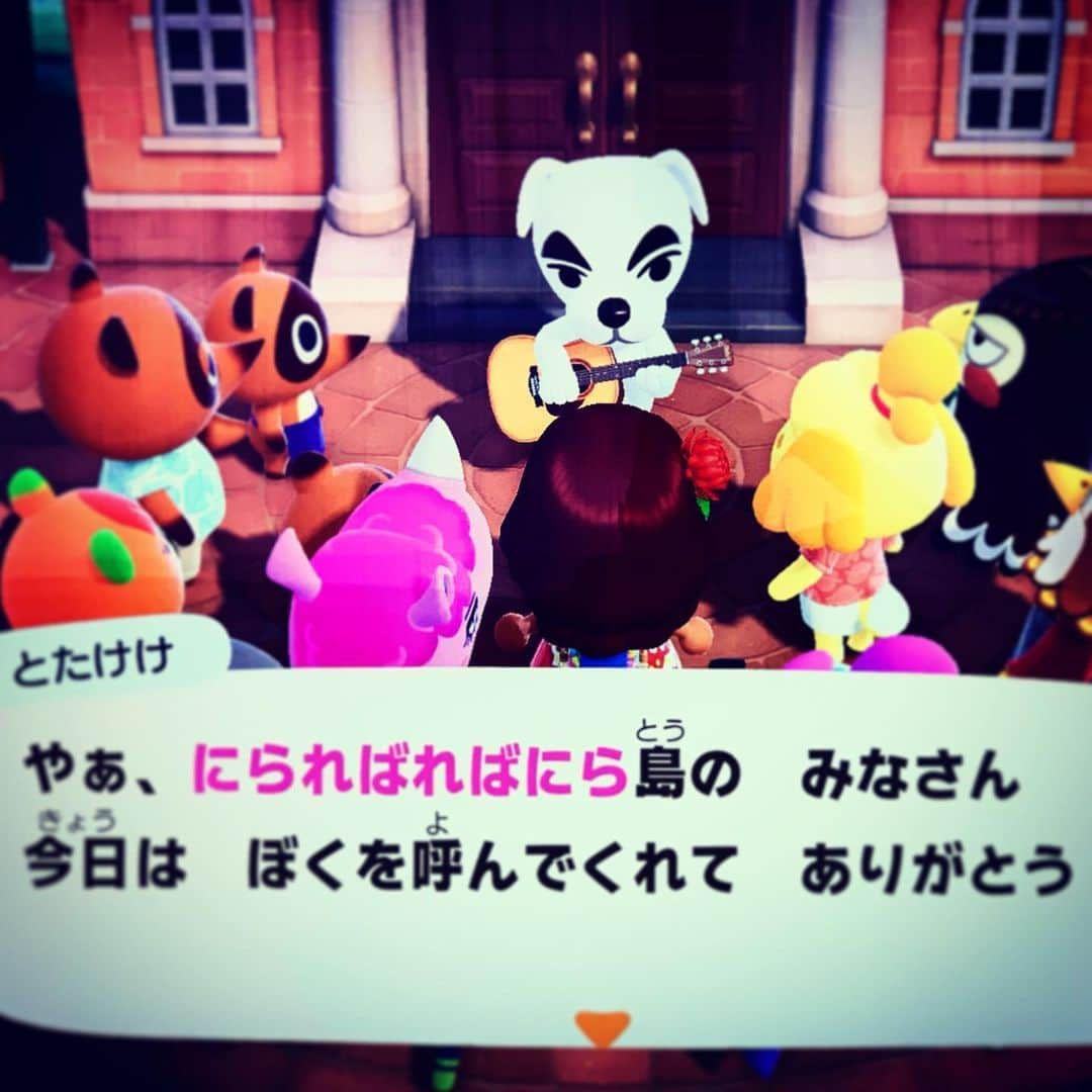 三森すずこのインスタグラム：「ついに、にらればればにら島にとたけけさんが来た…！！ こんなにゲームやり込むの初めて…！笑」