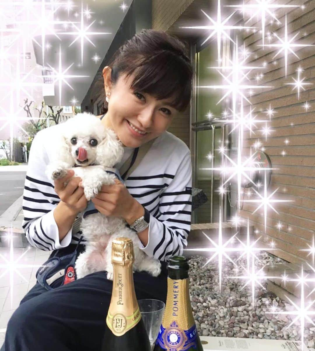 吉田玲奈さんのインスタグラム写真 - (吉田玲奈Instagram)「ともみん家の可愛くてお利口なココタン🐩💕がお空に旅立ちました😭♡♡♡♡みんなをたくさん癒してくれてありがとう🌈🐩💕✨ 虹の橋でうちのルンルンと仲良く遊んでね🐕🐩💕一緒にいろんな所へ出かけた楽しかった思い出がいっぱいだよ✨ 夜ピクニックも🍾🥂たくさんしたね♡ 仲良くしてくれてどうもありがとう♡  大好きなココタン…安らかに…🌈🐩✨♡♡♡ #犬友達 #トイプードル #まんまるお目目  #美男子犬  #天国でも元気でね  #ありがとう #ともみん #宮内知美」5月26日 16時23分 - reina.yoshida.ciel.1218