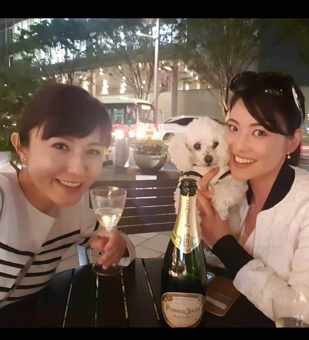 吉田玲奈さんのインスタグラム写真 - (吉田玲奈Instagram)「ともみん家の可愛くてお利口なココタン🐩💕がお空に旅立ちました😭♡♡♡♡みんなをたくさん癒してくれてありがとう🌈🐩💕✨ 虹の橋でうちのルンルンと仲良く遊んでね🐕🐩💕一緒にいろんな所へ出かけた楽しかった思い出がいっぱいだよ✨ 夜ピクニックも🍾🥂たくさんしたね♡ 仲良くしてくれてどうもありがとう♡  大好きなココタン…安らかに…🌈🐩✨♡♡♡ #犬友達 #トイプードル #まんまるお目目  #美男子犬  #天国でも元気でね  #ありがとう #ともみん #宮内知美」5月26日 16時23分 - reina.yoshida.ciel.1218