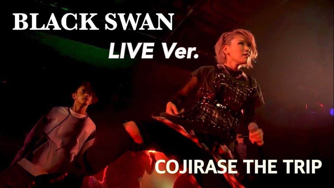 miumeのインスタグラム：「【CTT Week day1】﻿ COJIRASE THE TRIP「BLACK SWAN」のライブ映像が公開になりました！﻿ こじとりのダークなカッコよさをお見せできる一曲です！ライブならではの盛り上がりをぜひご視聴ください！　youtu.be/S7IBKhEC5Xw」