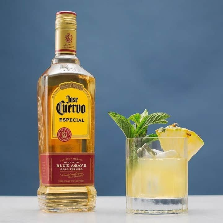 Jose Cuervo Japanのインスタグラム