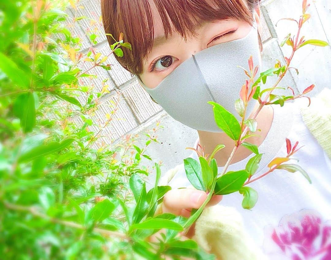 河内美里のインスタグラム：「∗*ﾟ この日はピンクのアイシャドウでした🌷 . どうせマスクをしてしまうから 唯一見える目元のメイクで 色味を取り入れたくなります👁 . . . #大きすぎるマスクによって #涙袋が実際よりも強調されてる #なんならマスクに乗っかってる #ヒアルロン酸みたいになってる #なるほどな #つまり #大きめのマスクをすれば #目元が盛れちゃうよ #ってこともしれない #しらんけど . . . .」