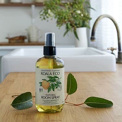LOHACO（ロハコ）さんのインスタグラム写真 - (LOHACO（ロハコ）Instagram)「＼オーストラリア生まれの自然派ブランド「KOALA ECO（コアラエコ）」が登場🎉／植物由来🌿の安全で環境にやさしい洗剤を提供するハウスケアブランドです🌎 ﻿ ﻿ 「KOALA ECO（コアラエコ）」は、成分に一切の有毒化学添加物を含有せず、オーストラリア産のレモンユーカリやローズマリー、ペパーミントなど、天然のエッセンシャルオイルのみを使用した製品を提供するブランド❣️ ﻿ ﻿ 用途によって、食べ物から発生した人体に有害な細菌を除去する効果や、汚れ除去、害虫の被害を軽減などの効果が期待できる成分で作られており、見た目もおしゃれですが、香りも良く、使う度に癒されますよ😊 ﻿ ﻿ 製品は、食器用洗剤や、果物＆野菜用の洗剤などのキッチン周り🍴と、フロアクリーナー、バスルームクリーナーなどのハウスケア用🏚️ ﻿ ﻿ 天然成分のみを使用しているので、生活排水による環境汚染防止にも🌳 ﻿ ﻿ 小さいお子様がいるご家庭でも安心して使え、お肌にも優しいのが嬉しいポイントです👍 ﻿ ﻿ 今なら対象商品へのレビュー1件につきPayPayボーナスライト400円相当がもらえるキャンペーンも実施中🎁【2020/7/2まで】 ﻿ ﻿ お得なこの機会にぜひチェックしてみてください♪ ﻿ ﻿ ＿＿＿＿＿＿＿＿＿＿＿＿＿＿ ﻿ ﻿ ▼Instagramで紹介した写真の詳細は プロフィール @lohaco.jp から♪ ﻿ ﻿ ▼商品のURLはこちら https://685.jp/2ZDs1nI ﻿ ＿＿＿＿＿＿＿＿＿＿＿＿＿＿＿ ﻿ ﻿ ﻿ #コアラエコ #koalaeco #植物由来 #自然派 #キッチン洗剤 #キッチンクリーナー #野菜洗い #農薬除去 #ホームクリーナー #ホームケア #ルームスプレー #エコ #エシカル #エシカル消費 #エシカルライフ #エコな暮らし #エコフレンドリー #地球に優しい #環境に優しい #丁寧な生活 #丁寧な暮らし #日々の暮らし #暮らし #くらし #なんでもロハコ #ロハコ #LOHACO #lohacobyaskul #askul #アスクル」5月26日 17時56分 - lohaco.jp