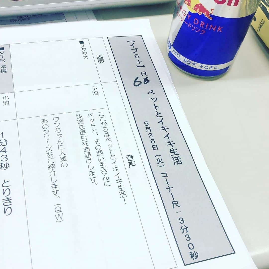 小池祥絵のインスタグラム