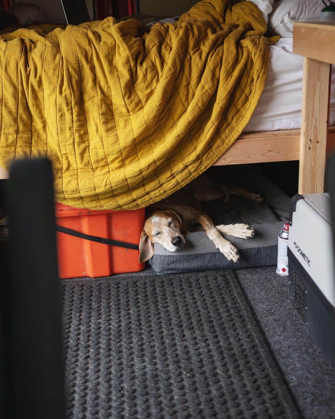 マディのインスタグラム：「I can’t believe we didn’t get a van sooner! Yeah they are a bit dorky but the useable living space + going from driving to sleeping without popping a top is amazinggggggg. And I unintentionally created Maddie this new nap nook under the platform bed. ⁣⁣⁣ ⁣ We’ve been sleeping in the van every night for over 2 weeks now and I couldn’t be a bigger supporter of start small with a build. Get out there and live it before you invest in every little micro detail you *think* you need ✨it’s way better to create from your own mileage」