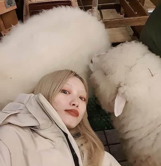 フェルナンダ・リーのインスタグラム：「Hope I can visit Korea again 💭」