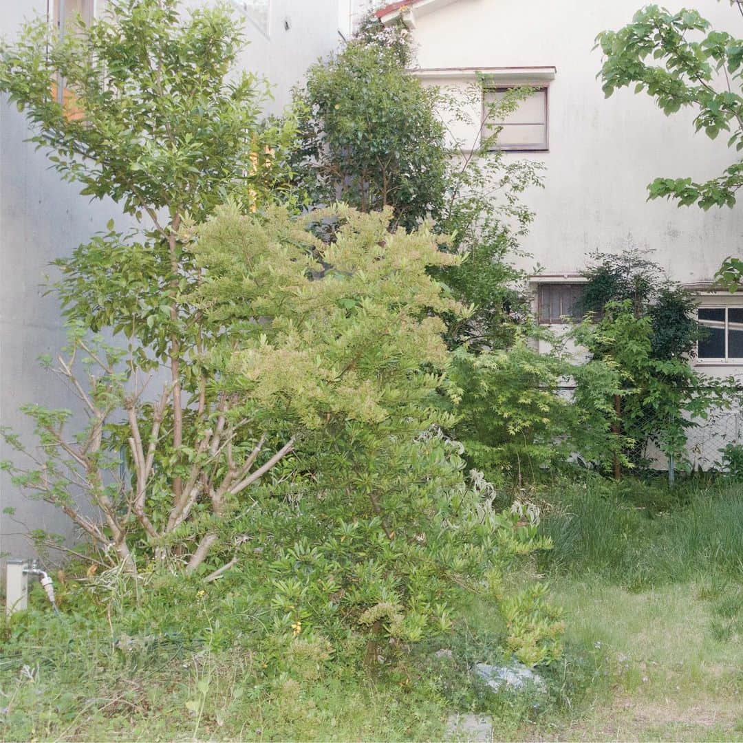 Kisshomaru S.のインスタグラム：「#stayshoot for Shooting. __________ Nature, a house, an animal, the media, and sunset.  When I return to humans, I feel that I am being let alive by others.  Time, the light, objects, and a space.  I realized that photography is made by something other than myself once again.  What are human beings? What is living life?  自然、家、動物、メディア、太陽。  人間に立返ったとき、私という存在が他者によって生かされていることを自覚する。  時間、光、オブジェクト、空間。  写真を撮る行為は、私以外の存在によって成立していることを実感する。 人間とは。生きるとは。」