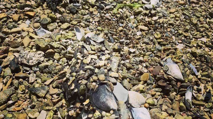 ルーファス・テイラーのインスタグラム：「Fish or foot? 🐟🦶🏼#easilyentertained #art #artist #wow」
