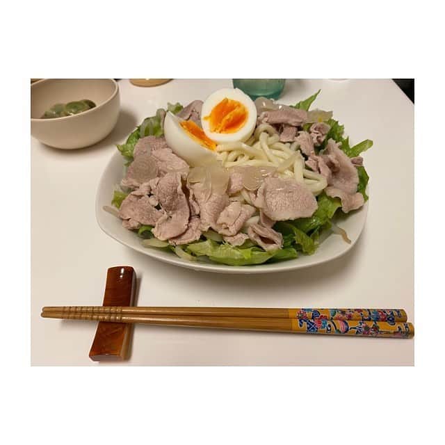 のインスタグラム：「暑くなってきたら食べたくなるのはサラダうどん。 器が小さいのか、具が多過ぎるのか。 はたまた目の錯覚か…(ホーンテッドマンション)  #シンクでごはん」