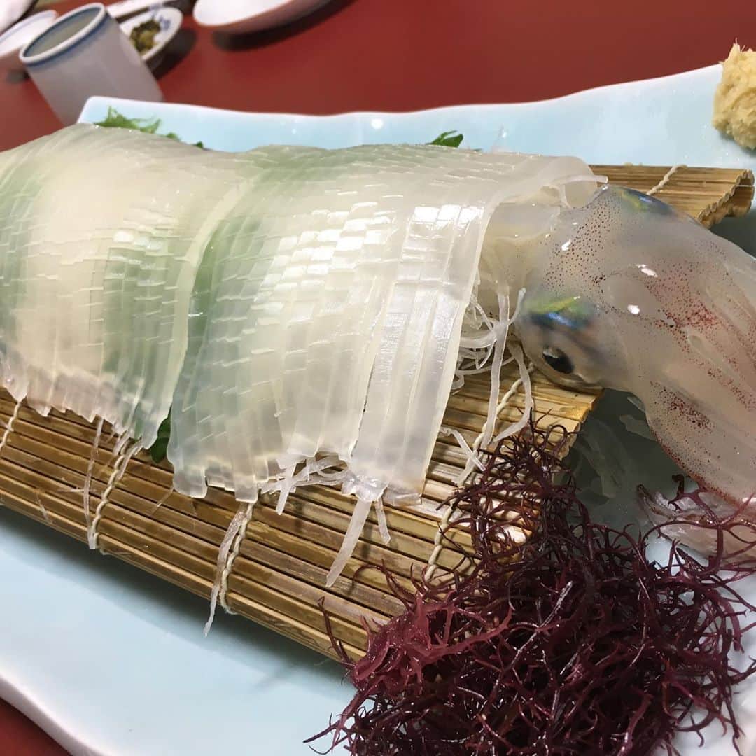 トータス松本さんのインスタグラム写真 - (トータス松本Instagram)「うひょー！ ヒマなので、1年前何してたかなーと写真を見ていたら、ツアーで福岡にいた頃だった。割烹 鯛めし よし田の呼子活イカ！それから松島うどん！ あー、食べに行きたいわ。 #割烹よし田 #松島うどん #たまらない #食べたい #絶対行く」5月26日 20時23分 - tortoise_matsumoto_official