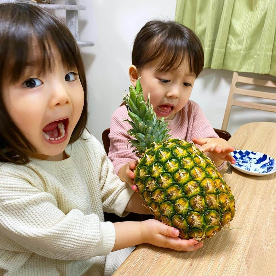 ゆうひなたさんのインスタグラム写真 - (ゆうひなたInstagram)「. . . パイナップル🍍にハマる ゆうひなた🤤✨ カットして食べて、 残ったら冷凍して パイナップルアイスに🤤❤️. . . . 今日みたいなおかんの しょーもないストーリー 継続していこかな🤤 途中で音声なくなったのは ゆうひなが大乱闘してたから😂 今日もお疲れ様でしたー！！🍻」5月26日 20時40分 - yu_hinataxx