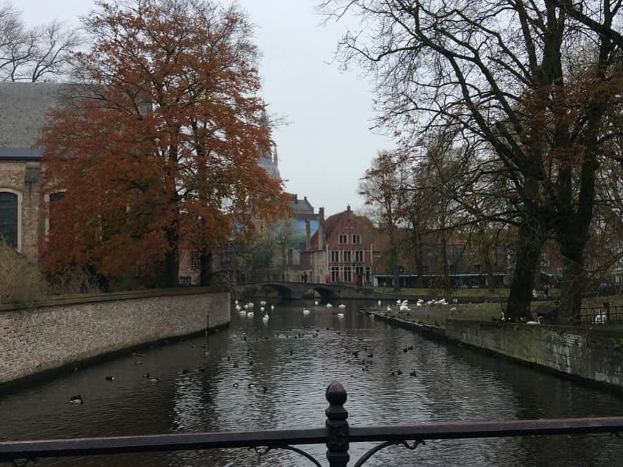 佃井皆美さんのインスタグラム写真 - (佃井皆美Instagram)「🇧🇪Bruges,Belgium🇧🇪 I forgot to show my favorite pictures. These are my beautiful memories last November. Bruges was a realy great place.  #ベルギーの思い出 #また行きたいなぁ  #ブルージュ」5月26日 21時01分 - minamitsukui